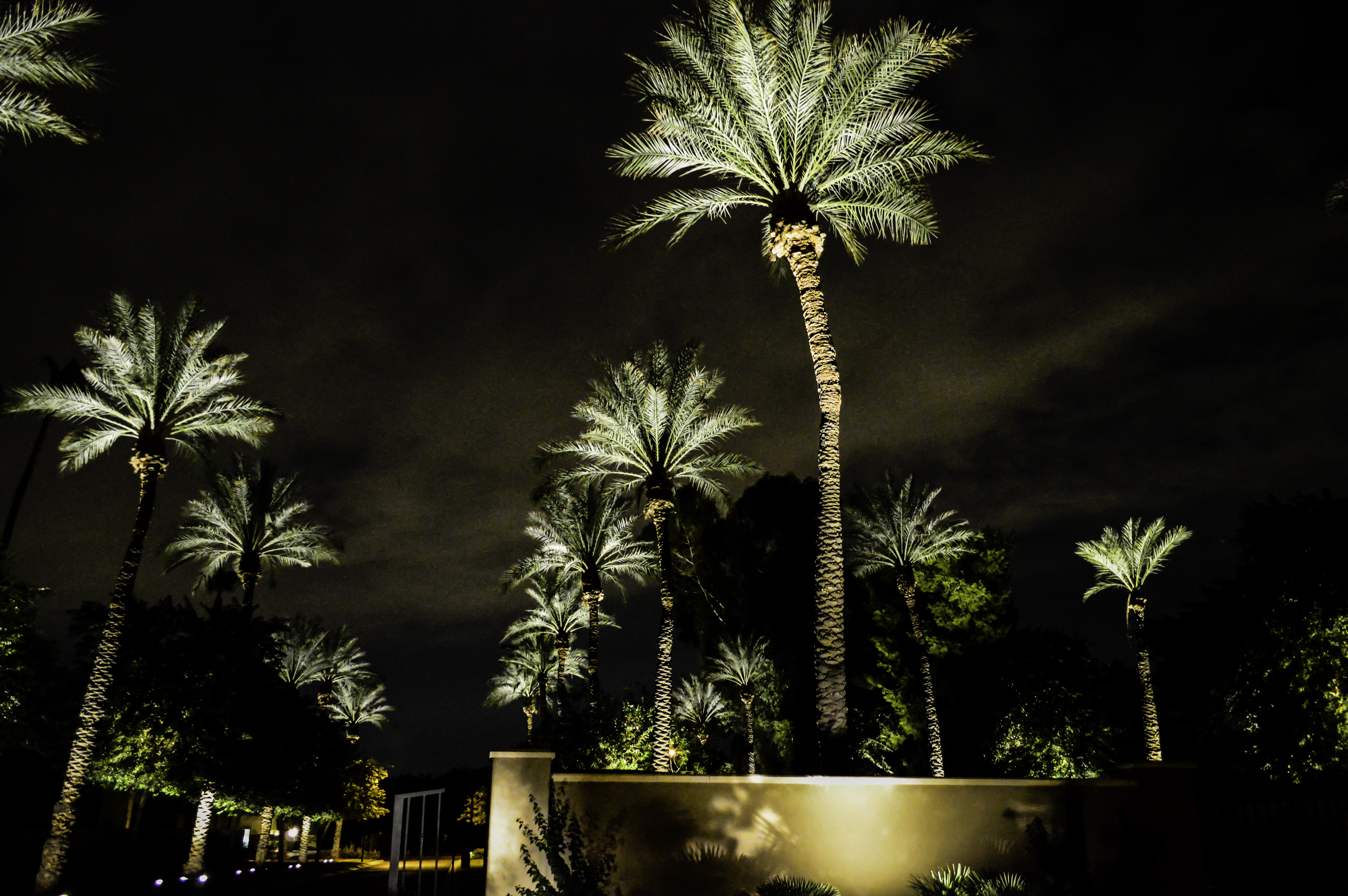 Community Lighting Lighting AZ