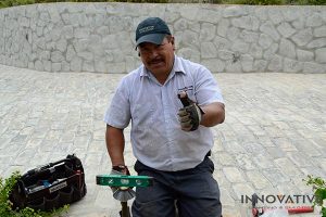 Lighting and Electrical Warranty