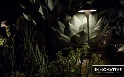Why DIY Is Not the Way to Go When Creating Lighting for Your Backyard Oasis