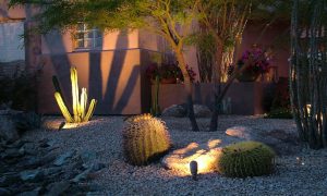 Licensed Landscape Light Professionals