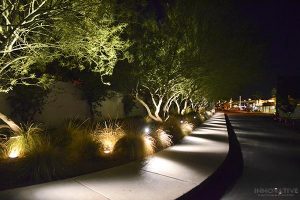 Licensed Path Light Installers